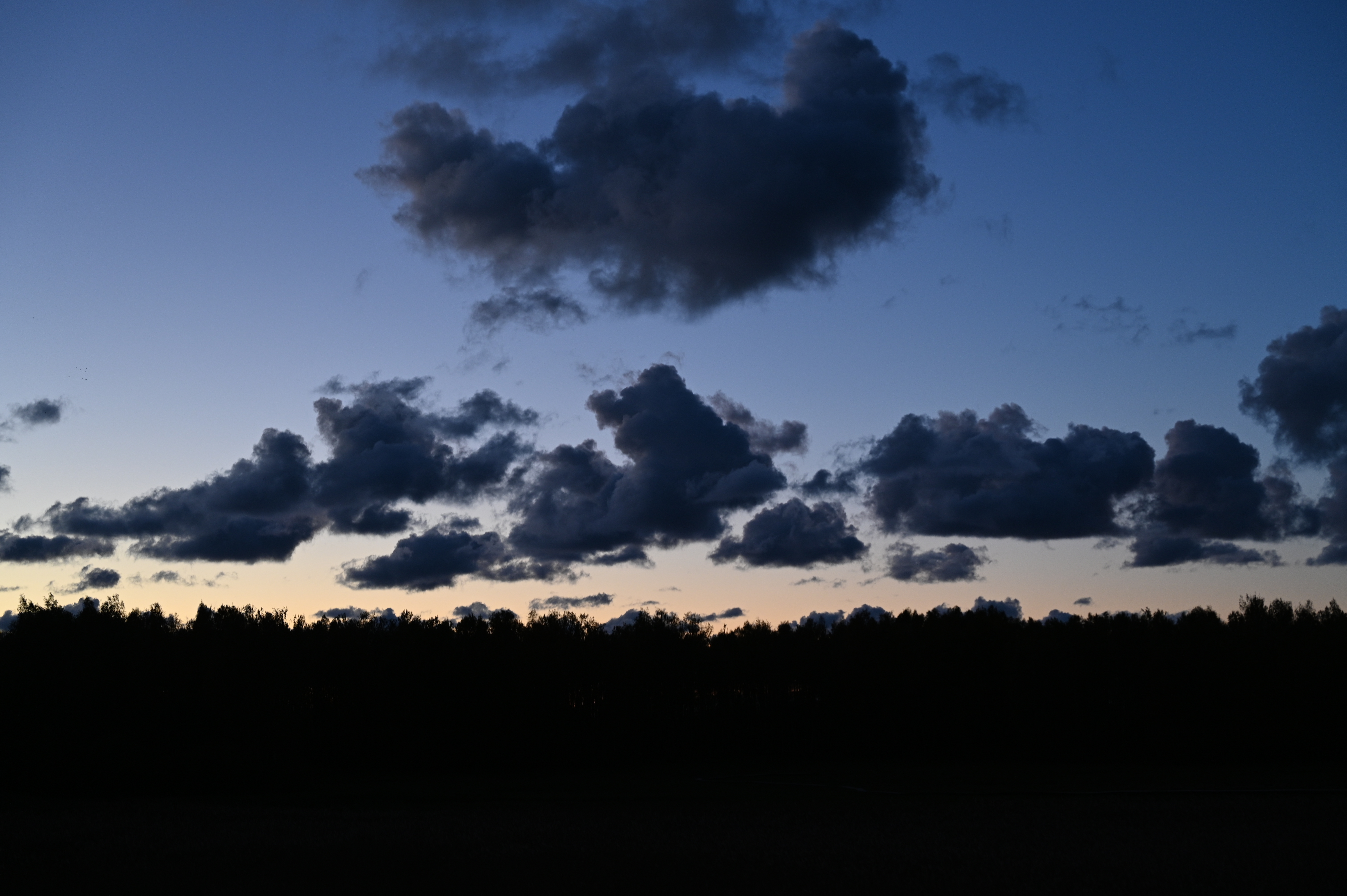 2025/10/18 - walk/DSC_0634.JPG